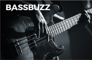 BassBuzz Review – More Buzz Than Bass?