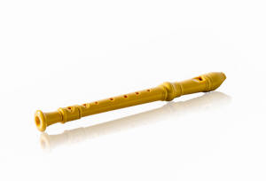 Recorder - Musical Instrument for beginners